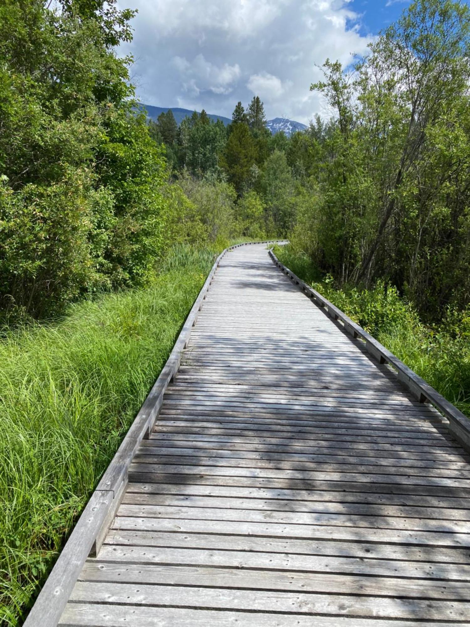 Chalet Continental Motel Valemount Dış mekan fotoğraf